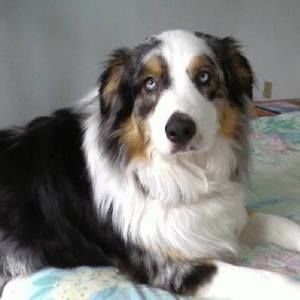 Meet your Posher, Laurel